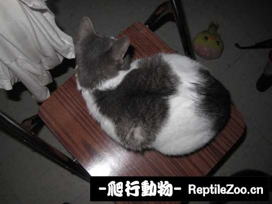 233644optccgkzipkgknkp.jpg
