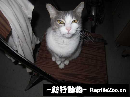 233644s4cjchh89z444u86.jpg