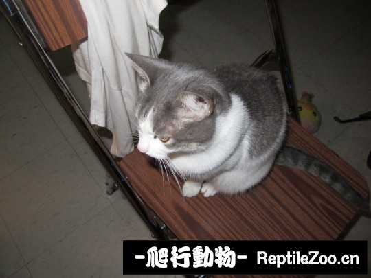233644vlkxlp77eqblpykp.jpg
