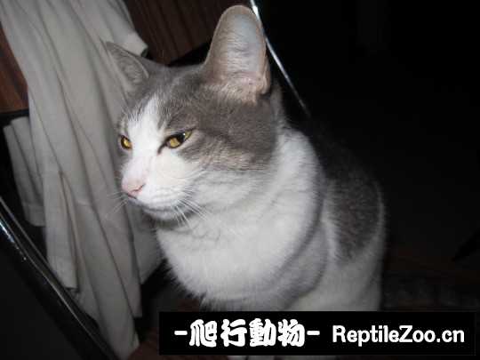 233645q2zl0lb6agpggxh6.jpg