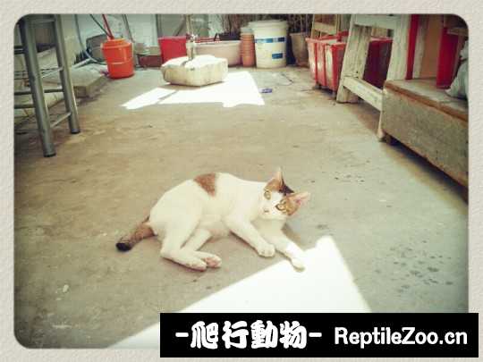 233707faejpf4bzblyx4db.jpg