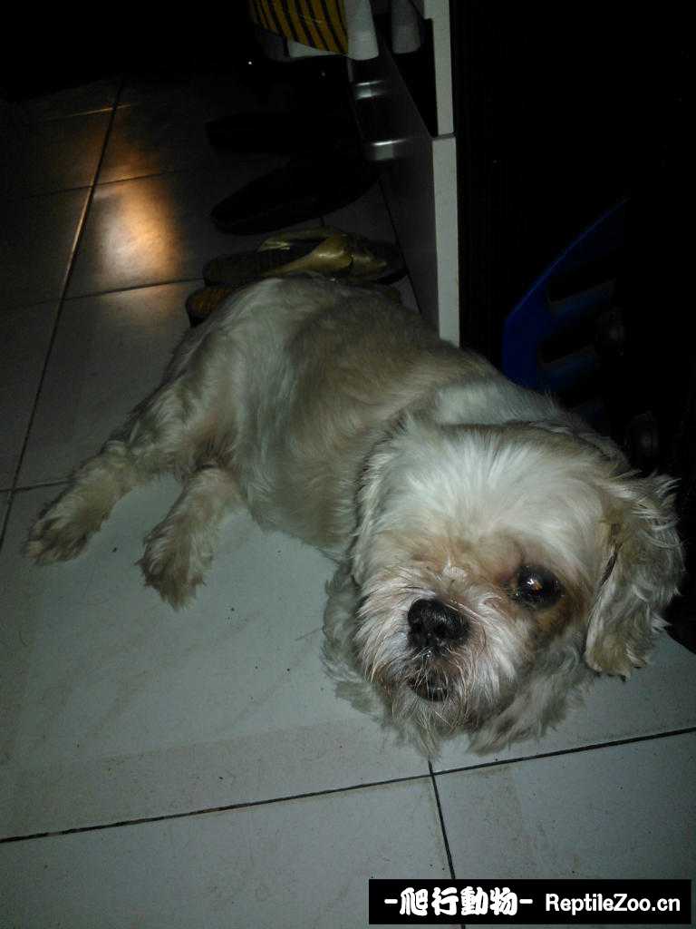 233728ahr2s2tsq72qs2qq.jpg