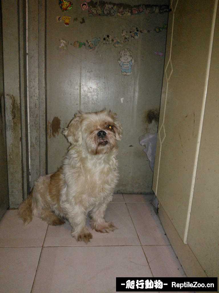 233734osn3zx6imxpix6mh.jpg