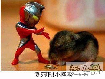 233754iiyz5nl3pyo6a4l3.jpg