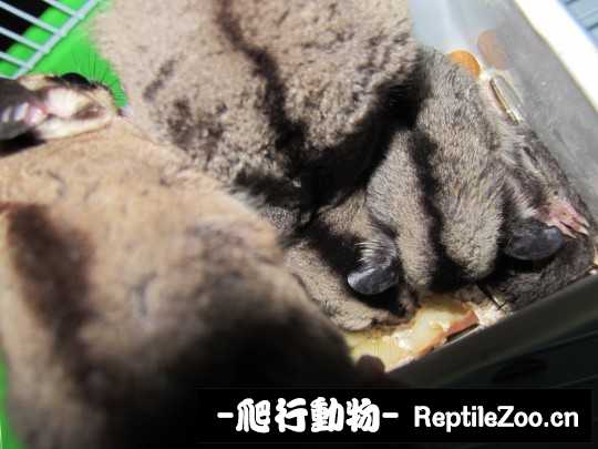 233807hrr0fgi44lvrv40a.jpg