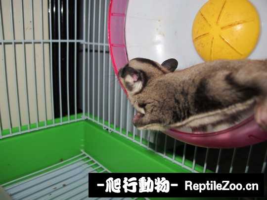 233809kkmhmzx1tbgdhk82.jpg