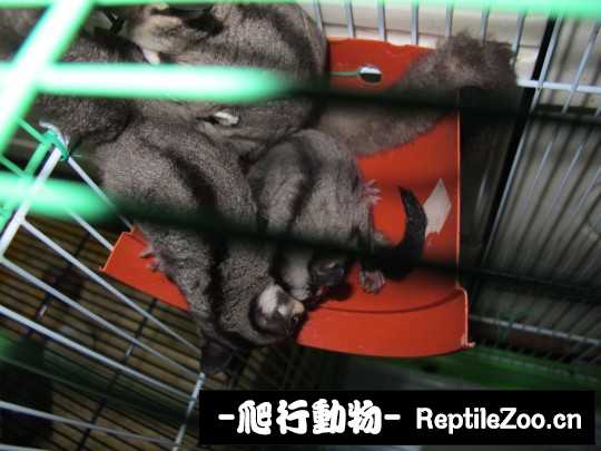 233809xktn8thd955ttnnh.jpg