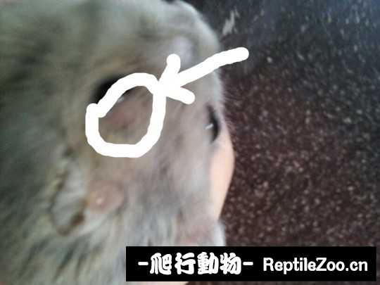 234157bitcz1wt9tkbgd1h.jpg