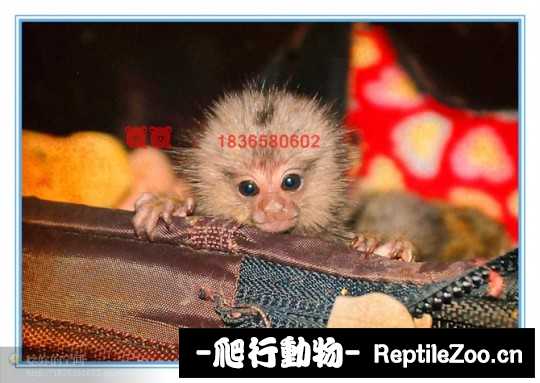 234455nbcurujk7urdbmfr.jpg