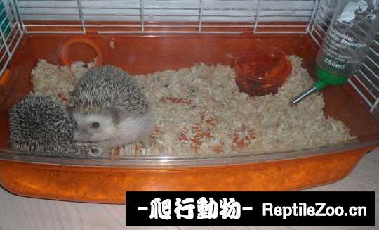 234516pih74o4h73o77n55.jpg