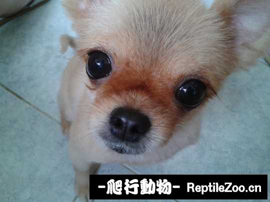234523n9599jzjnl1ciepp.jpg