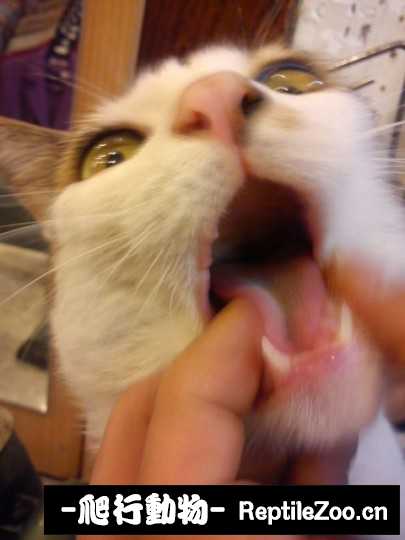 234533uxyvxlxdxyprxrgn.jpg