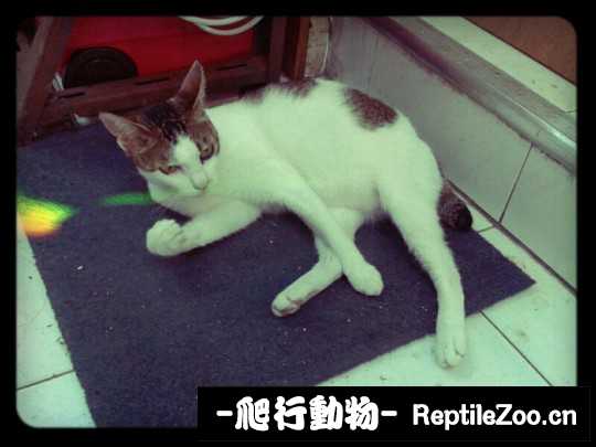 234541bofcnfjljpmnb67x.jpg