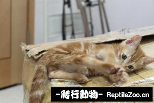 234631o11tw93hpi34ppk1.jpg