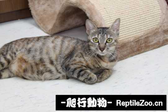 234631zcdzkwwjp33jlcgj.jpg