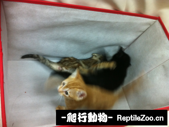 234653hw2mr62u2a2toe8r.png