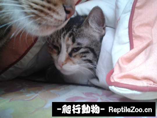 234706h2l5x22xx0j2tyzx.jpg