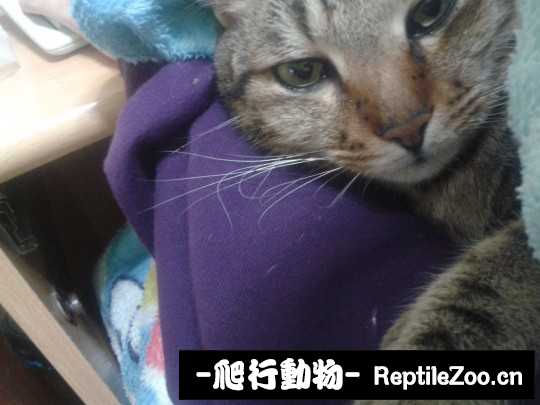234706q3ndt2i0n31d1fqq.jpg