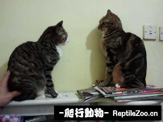 234706s55u5xzgzwrt2rwi.jpg