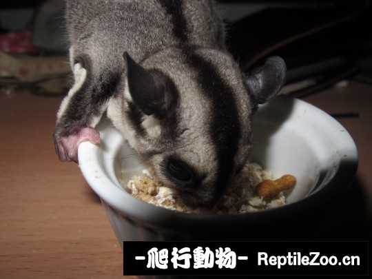 234741hji4liii41dz84l1.jpg