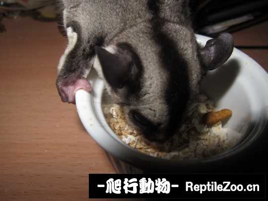 234741qzzrvcl0v0010ril.jpg
