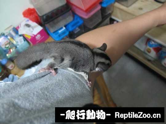 234745ca5oag0xhm2elqaq.jpg