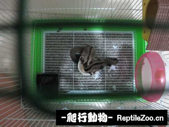 234746sreuemyoachm8hpo.jpg