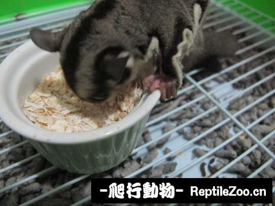 234747s6nnjmxjvnx1rxci.jpg