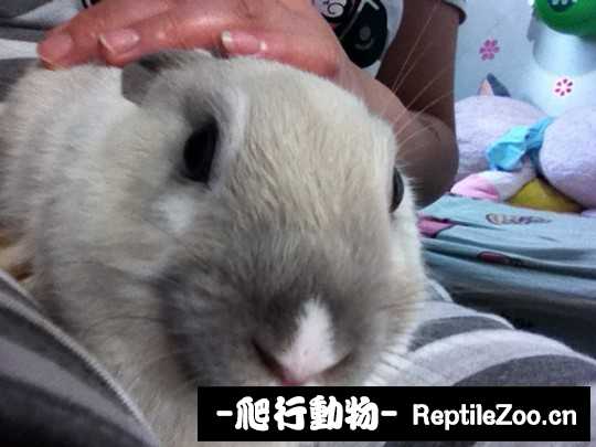 234822zqgsxpjz6sq6ivi5.jpg
