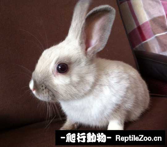 234823o7zjcpqa7h7zx7pq.jpg