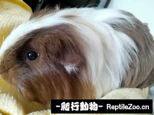 234830fbqa3az760g0ewbe.jpg