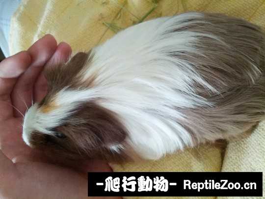 234831dybp59in51h9wndn.jpg