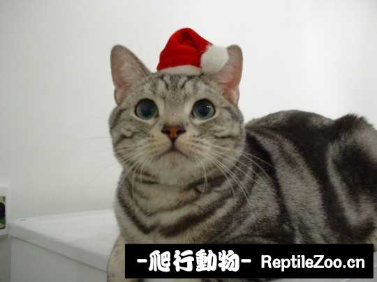 234843nh5fntqp8hn7g5hg.jpg