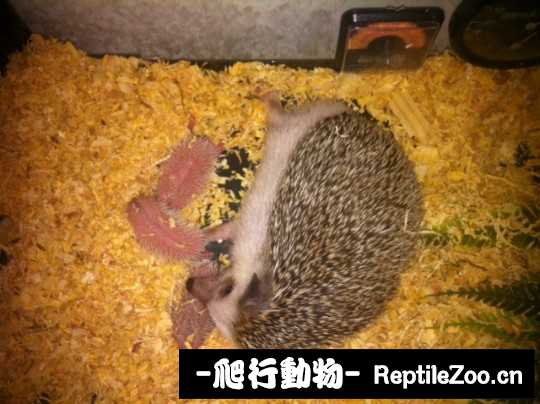 234935nt5cde4zp454zn6n.jpg