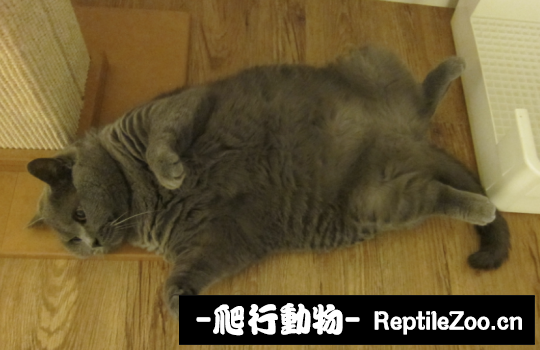 235003etle7lhvels75tbw.png