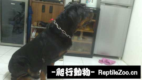 235021eom6qoge9eqo9obg.jpg