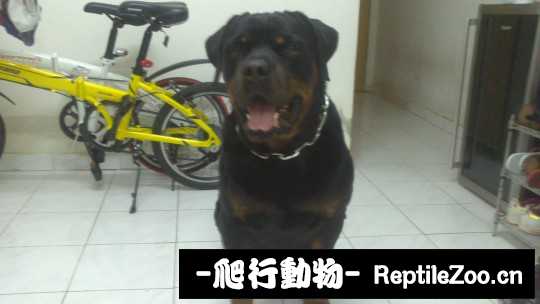 235021kuo3coosjgcj1ju5.jpg
