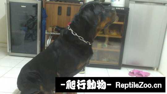 235021r6ee9yynxnepp2l7.jpg
