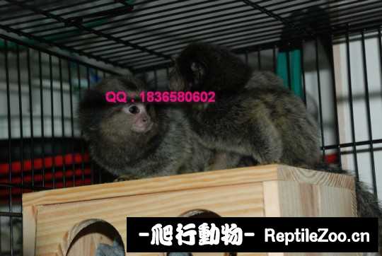 235120jgjzgetj4ue33326.jpg
