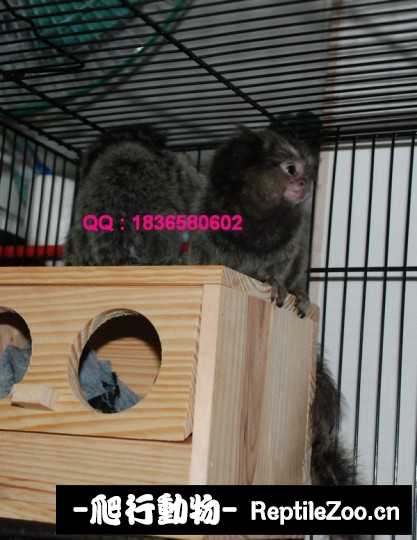 235120r87wawtwdw6aeqae.jpg
