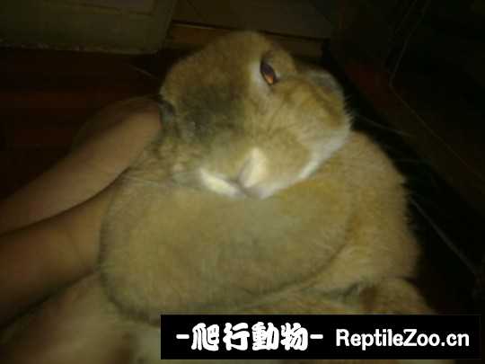 235134dcltdmd7zdw7t2dt.jpg