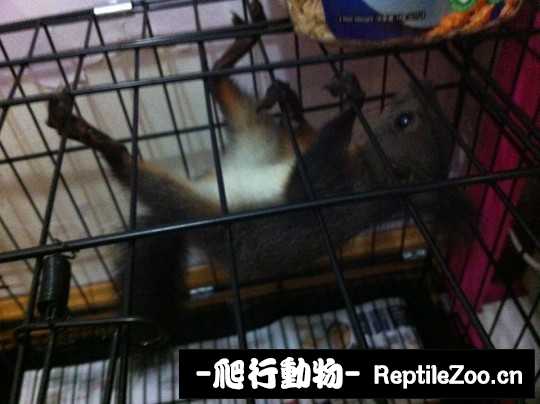 000345cn62t8p6nn5tp20u.jpg