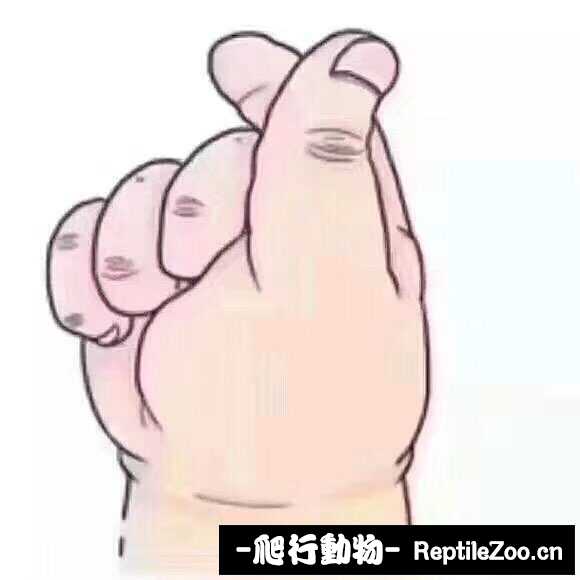 display_picture.php?url=http%3A%2F%2Fimgsa.baidu.com%2Fforum%2Fw%253D580%2Fsign%3D390610bb0f087bf47dec57e1c2d2575e%2Fdee57bfbfbedab6427dc6230fa36afc37b311ef9.jpg