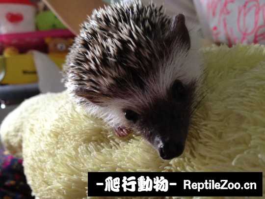 001445q9lcq07cqcsctjdl.jpg