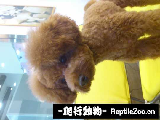 001448xiy8ie22wue5hypv.jpg
