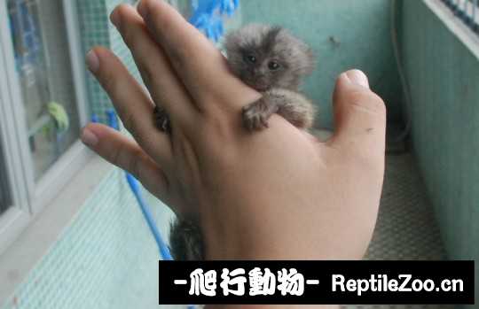 001527ygrcuaihjw2jnyhr.jpg