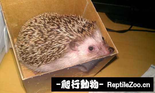 001537dkoemziy4b1z4xu1.jpg