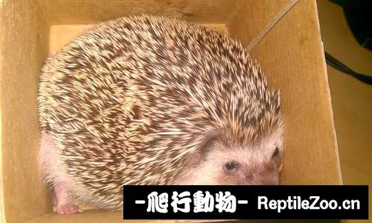 001538f7zq8s8usu1px75u.jpg