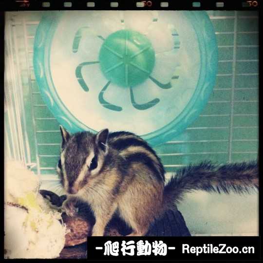 001554pibc86qrikk584si.jpg
