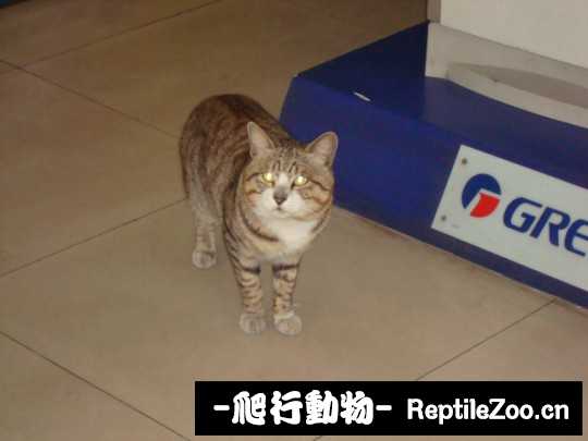 001624r88tzd8msqci0iui.jpg